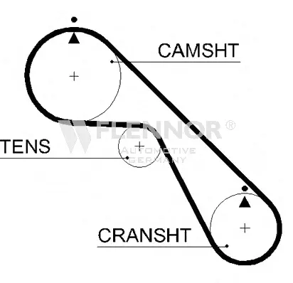 Timing Belt (4429V)