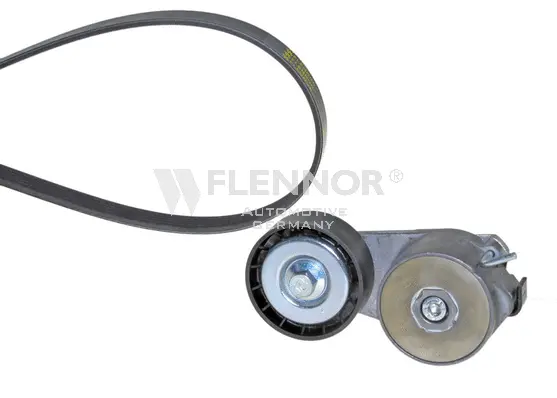 V-Ribbed Belt Set (F905PK1173)