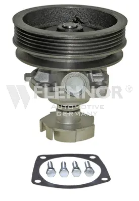 Water Pump, engine cooling (FWP70419)
