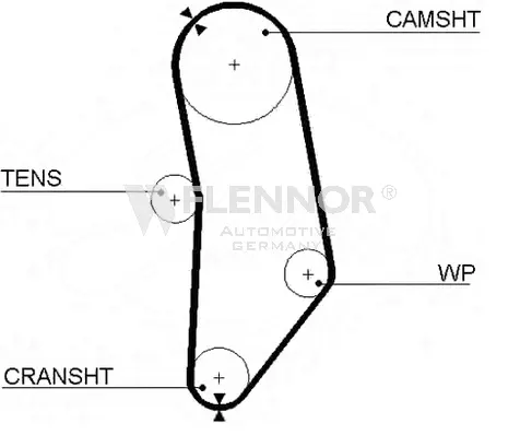 Timing Belt (4909)