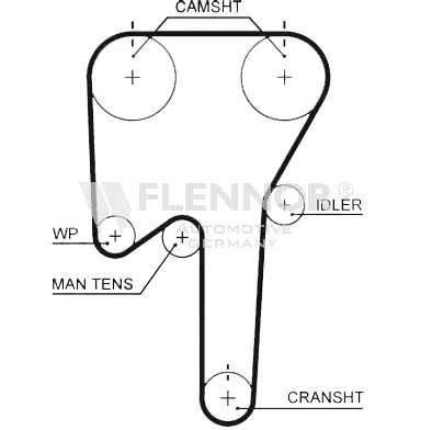 Timing Belt (4442V)