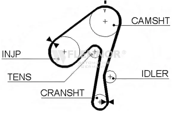 Timing Belt (4219V)
