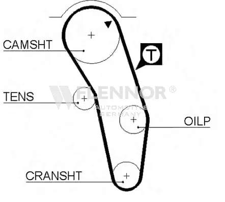 Timing Belt (4072V)