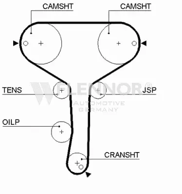 Timing Belt (4148V)