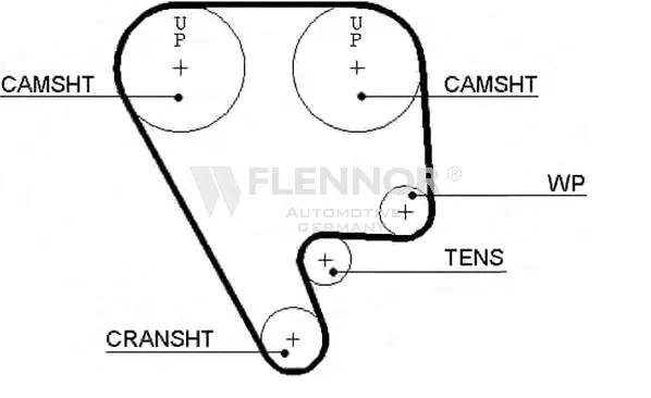 Timing Belt (4238V)