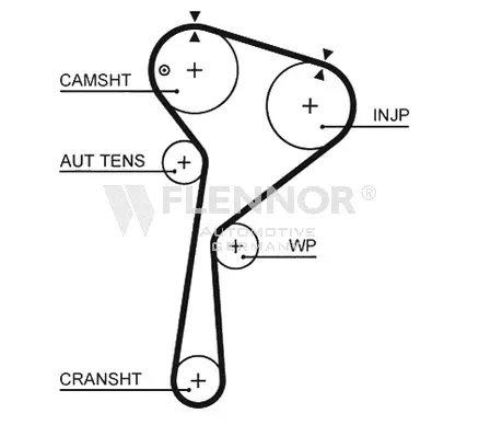 Timing Belt (4564V)