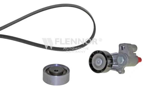 V-Ribbed Belt Set (F906PK1753)