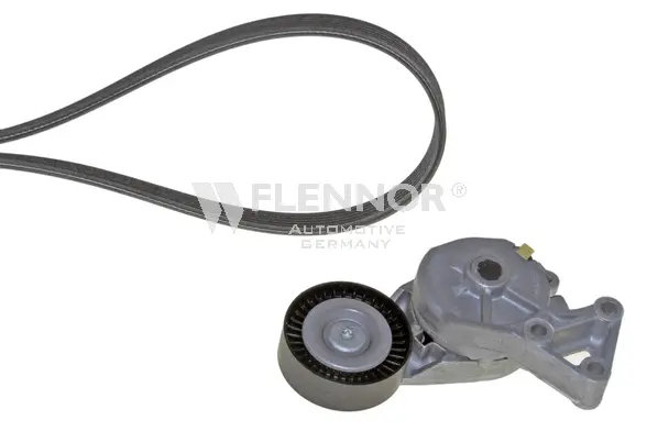 V-Ribbed Belt Set (F916DPK1195)