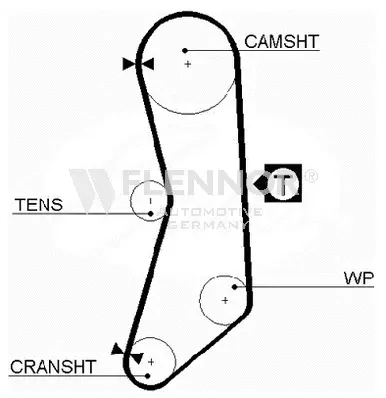 Timing Belt (4929V)