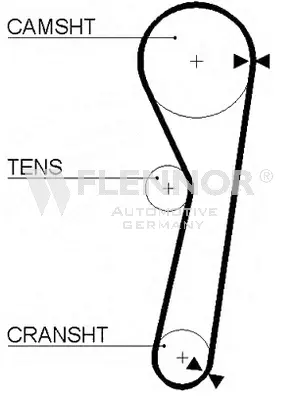 Timing Belt (4981)