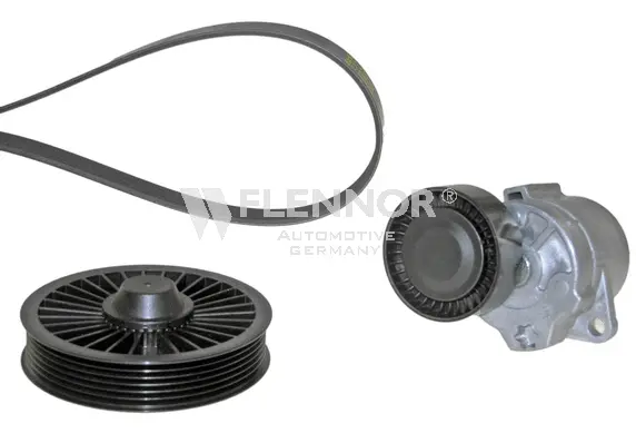 V-Ribbed Belt Set (F906DPK1825)