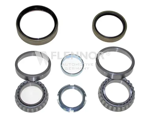 Wheel Bearing Kit (FR491929)
