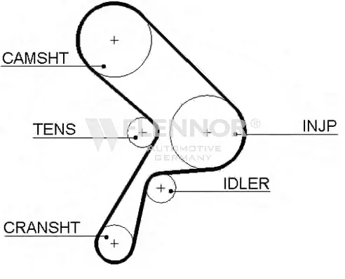 Timing Belt (4211)