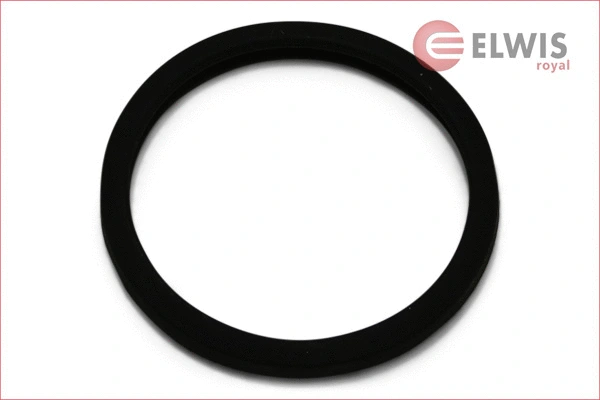 Seal, thermostat (4126518)