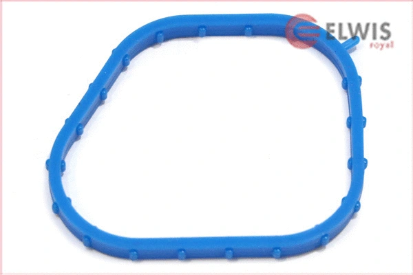 Seal, thermostat (7015415)