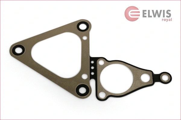 Gasket, timing case (7026562)