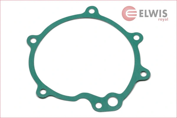 Gasket, water pump (4642541)