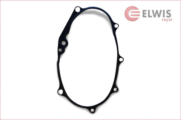Gasket, timing case (7056019)