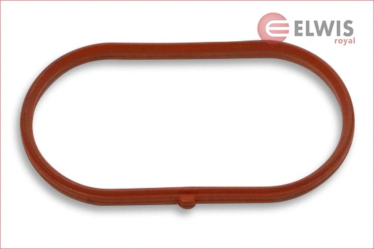 Gasket, intake manifold (0256070)