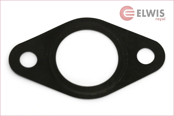 Gasket, EGR valve (7025120)