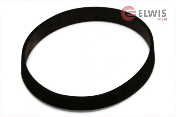 Gasket, EGR valve (7115453)