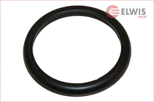 Seal, thermostat (6126528)