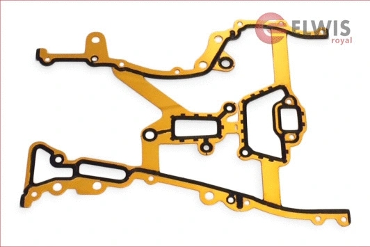 Gasket, timing case (7042674)