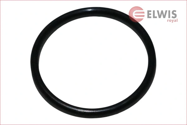 Seal, thermostat (6123028)