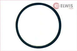 Seal, thermostat (7146820)