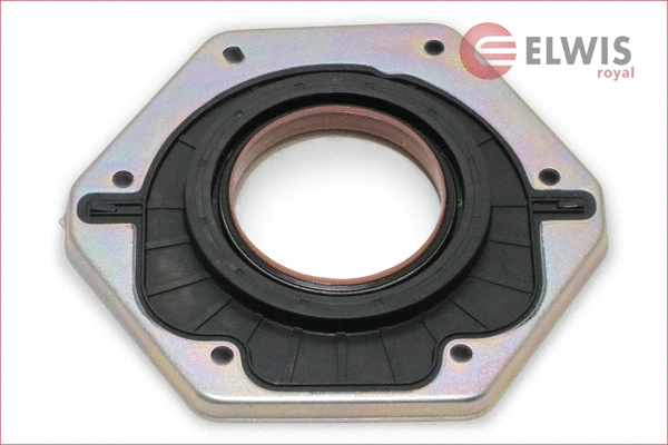 Shaft Seal, crankshaft (8125101)