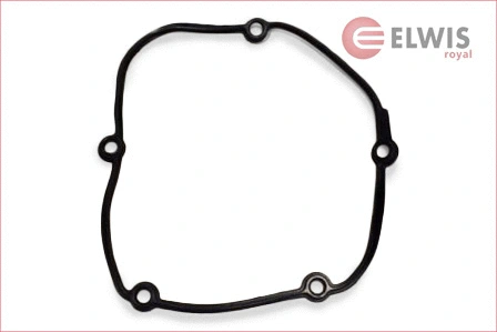 Gasket, timing case (1456001)