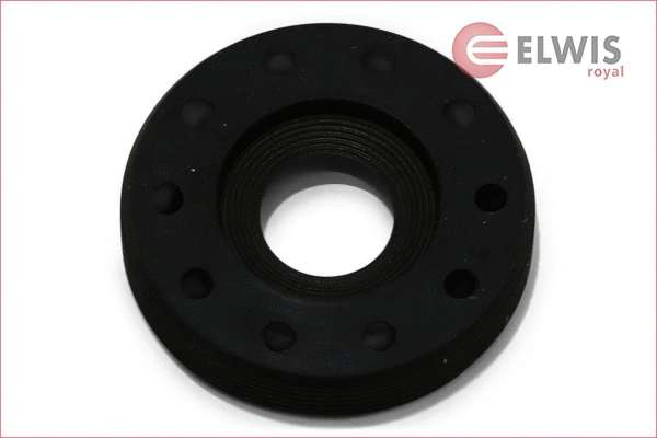 Shaft Seal, crankshaft (8456010)