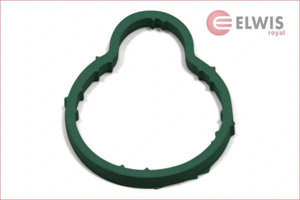 Gasket, intake manifold (0256050)