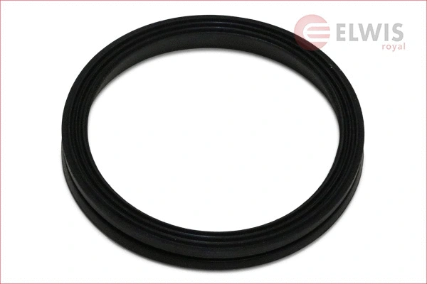 Gasket, timing case (8456005)
