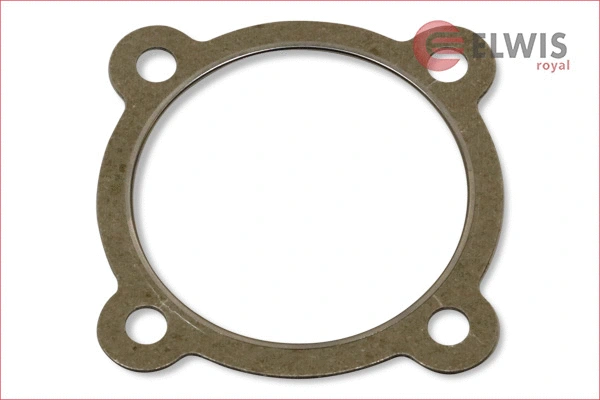 Gasket, exhaust pipe (7156006)