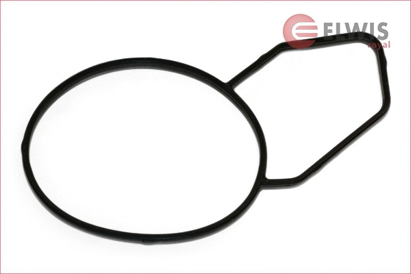 Seal, thermostat (6115403)