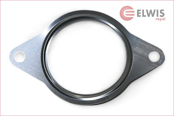 Gasket, EGR valve (7026504)
