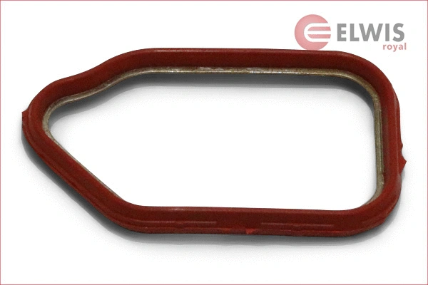 Gasket, timing case (7022009)