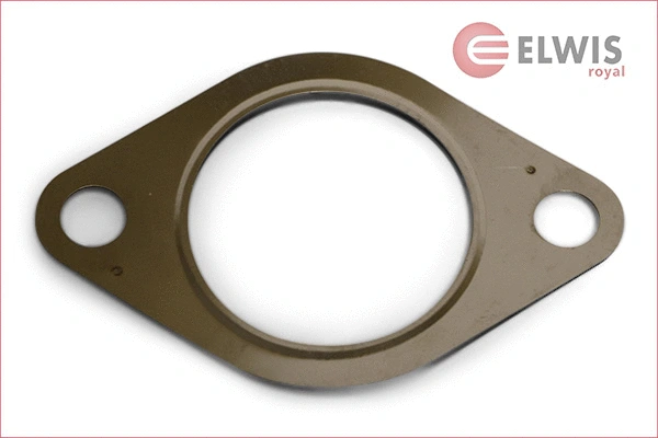 Gasket, exhaust pipe (3015418)