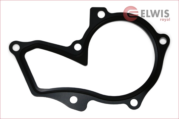 Gasket, water pump (4526504)