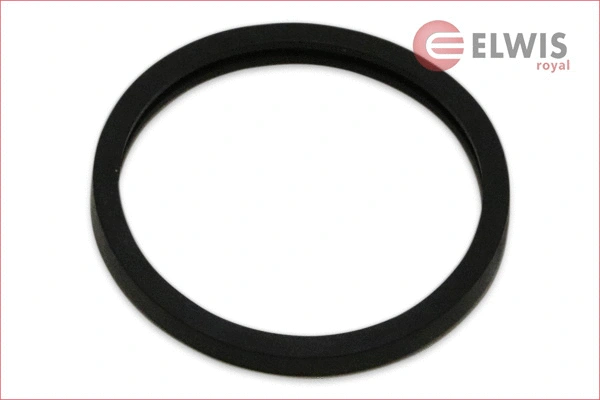Seal, thermostat (6142646)