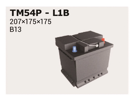 Starter Battery (TM54P)