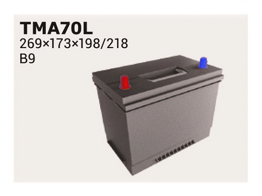 Starter Battery (TMA70L)