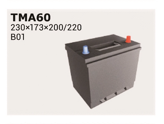 Starter Battery (TMA60)