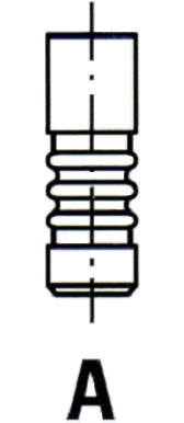 Intake Valve (VL196900)