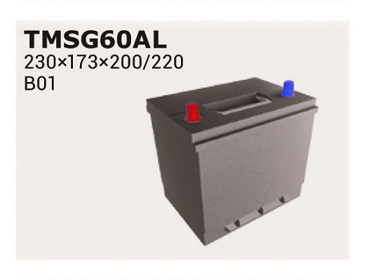 Starter Battery (TMSG60AL)
