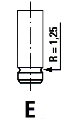 Intake Valve (VL017600)