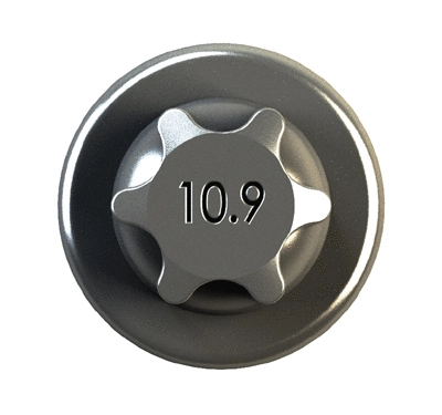 Connecting Rod Bolt (COB00300)