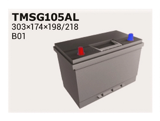 Starter Battery (TMSG105AL)