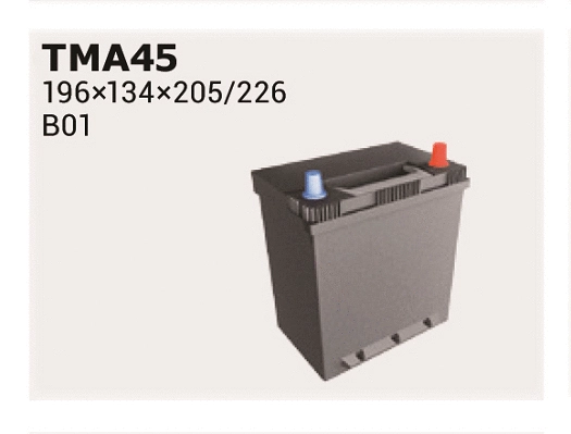 Starter Battery (TMA45)